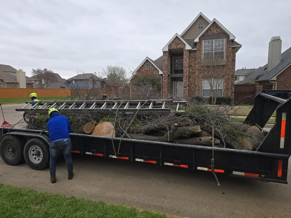 Expert Tree Removal with proper safety equipment in West Halifax